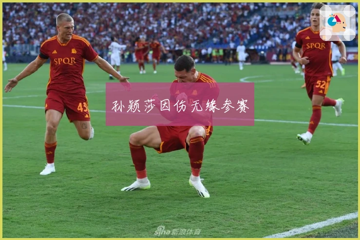 孙颖莎因伤无缘参赛