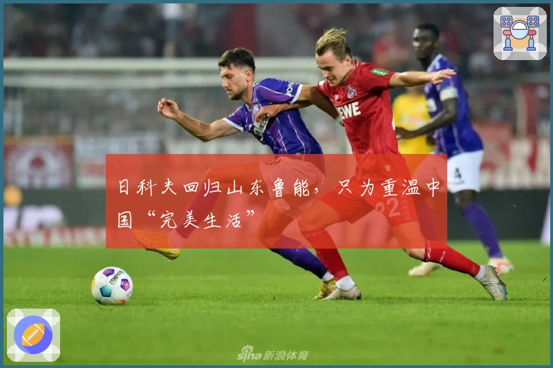 日科夫回归山东鲁能，只为重温中国“完美生活”